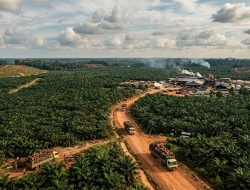 Apakah Hak Guna Usaha Merupakan Institusi Ekstraktif atau Inklusif?