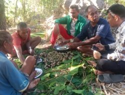 Harmoni di Bukit Miomaffo Timur: Menelusuri Kosmologi dan Ritual Pertanian Lahan Uab Meto