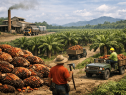 Finansialisasi Tanah dalam Perkebunan Kelapa Sawit: Krisis Paradigma Pembangunan, Hambatan Industrialisasi, dan Jalan Keluar Konstitusional Berdasarkan Pasal 33 UUD 1945