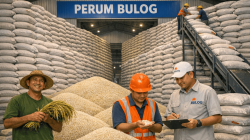 Dibalik Stok Beras 4,8 Juta Ton