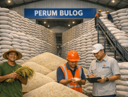 Dibalik Stok Beras 4,8 Juta Ton