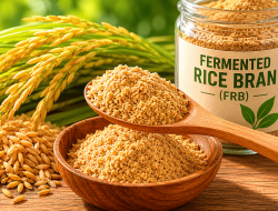 Fermented Rice Bran: Dua Sendok Makan yang Menyamai Harga Satu Botol Suplemen