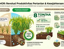 Kisah Sampah ke GRAMMOR Bagian 7A: Fondasi Multi-Nutrisi dan Lompatan Produktivitas Sawah Normal (Keunggulan GRAMMOR)