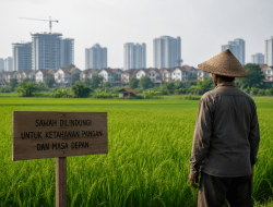 “Sawah Abadi”, Mengapa Tidak!