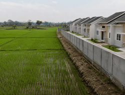 Sikap Tegas Terhadap Alih Fungsi Lahan