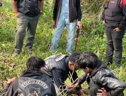 Keren! Kelompok Muda “Bikers For Nature Live” Gelar Aksi Penghijauan di Punclut Bandung Utara