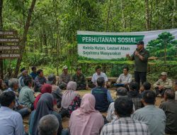 Advokasi Perhutanan Sosial