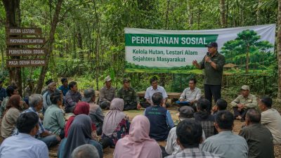 Advokasi Perhutanan Sosial