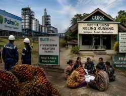 Andaikan Palmco Belajar dari Pedalaman: Mengkuantumkan Diri, Menuju Pusat Peradaban Bioekonomi