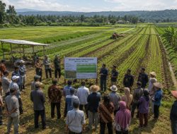 Collective Farming: Membesarkan Usaha, Bukan Membesarkan Tuan Tanah