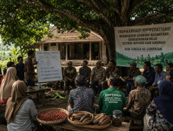 Dari Tangga ke Lompatan: Membangun Epistemologi Ekonomi Tropika melalui Teori Koperasi Kuantum