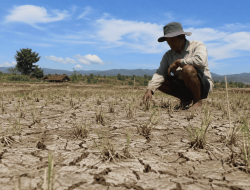 Jangan Sepelekan El Nino
