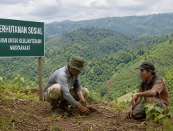 Selamatkan Perhutanan Sosial