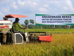 Bangsa yang Terbebas Impor Beras