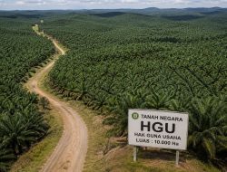 Berapa Besar Kapitalisasi Aset Tanah Per Hektar HGU dan Berapa Besar Subsidi Terselubung Negara bagi Korporasi?