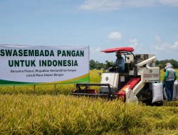 Debatibel Swasembada Pangan