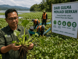 Eceng Gondok (Pontederia crassipes) sebagai Bagian Penting Tropikanisasi-Kooperatisasi Bioekonomi Era Kondratieff VI Indonesia
