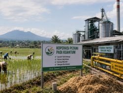 Koperasi Petani Padi Kuantum: Menata Organisasi Berbasis Sawah Menuju Kedaulatan Pangan dan Energi