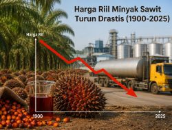 Memahami Penurunan Harga Riil Minyak Sawit: Fakta Historis dan Implikasinya bagi Indonesia