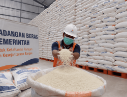 Membengkaknya Cadangan Beras: Rahmat atau Tragedi Kehidupan?