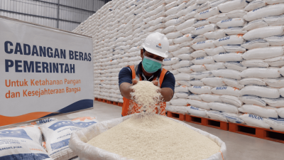 Membengkaknya Cadangan Beras: Rahmat atau Tragedi Kehidupan?