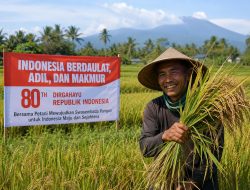 Secerah Harapan Bagi Petani, Di Saat 81 Tahun Indonesia Merdeka