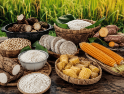 Tidak Makan Nasi, Tidak Berarti Miskin