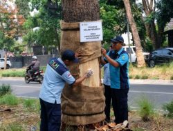 Sepuluh Pohon dan Kemarahan Wali Kota: Membaca Bandung dari Perspektif Green Social Work