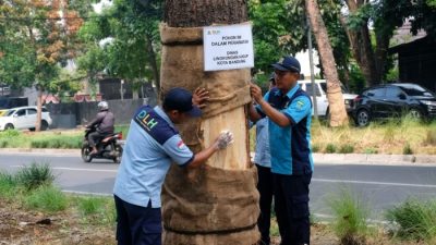 unpas