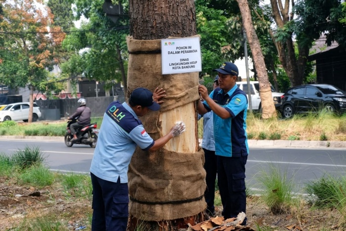 unpas