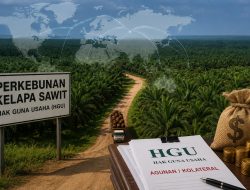 Apakah Perusahaan Perkebunan Kelapa Sawit Milik Asing pun Menjadikan HGU sebagai Kolateral?
