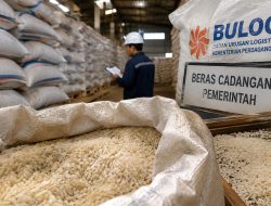 Mengelola Cadangan Beras, Jangan Sampai Ada Beras Turun Mutu Lagi!