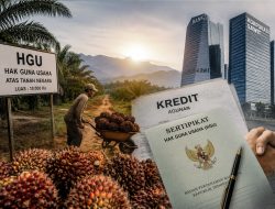 Moral dan Ekonomi: Menjadikan HGU sebagai Kolateral Korporasi Besar Kelapa Sawit