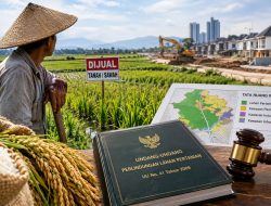 Perkembangan Alih Kepemilikan Sawah Petani
