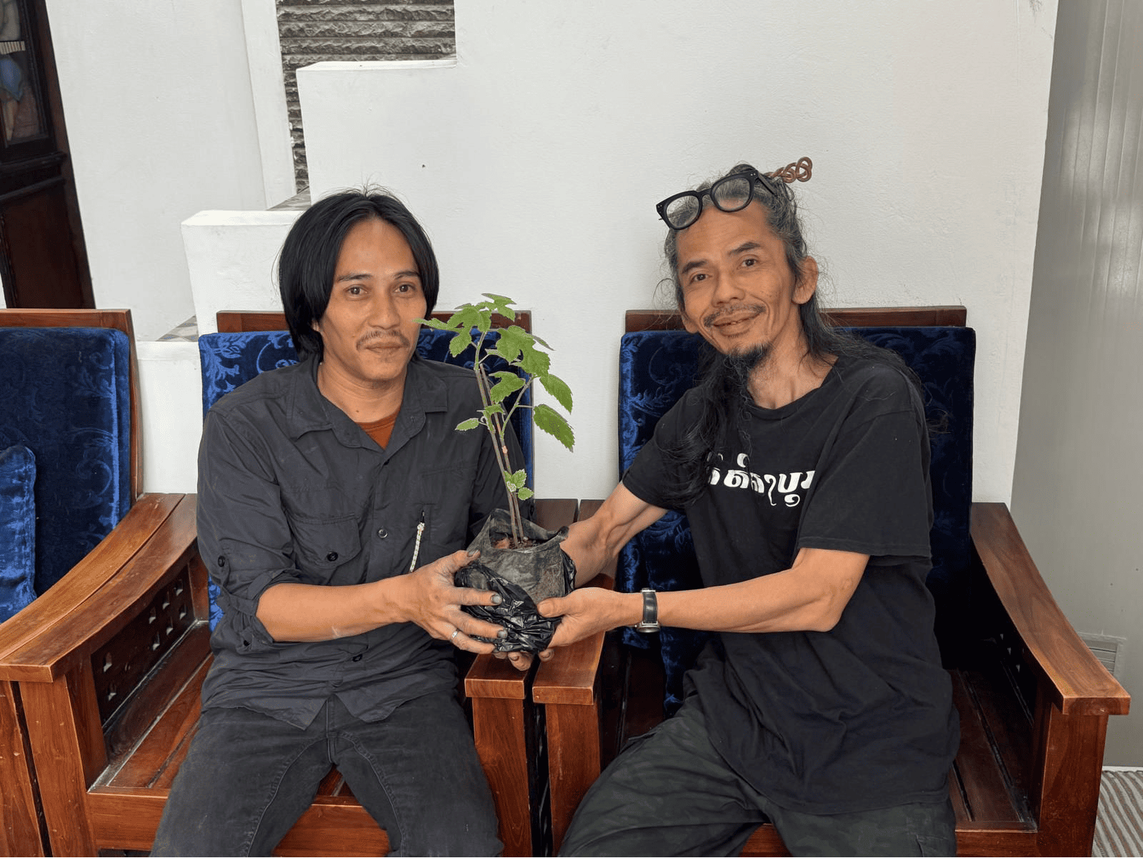 Mufid Sururi (praktisi daluang) memberikan pohon saeh kepada Gelar Taufiq Kusumawardhana (YBVS).