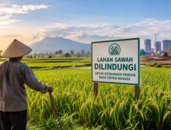 Sawah Memang Harus Dilindungi