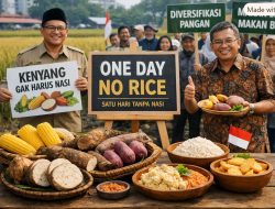 Apa Kabar “One Day No Rice”?