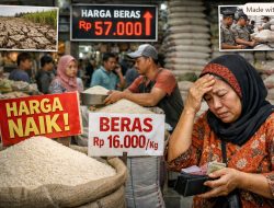 Melejitnya Harga Beras