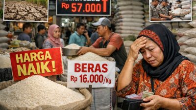 Melejitnya Harga Beras