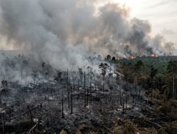 Eksternalitas: Ujian Pemajuan Kebudayaan