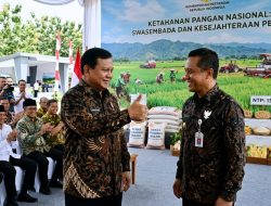 Jempol Presiden Untuk Mentan