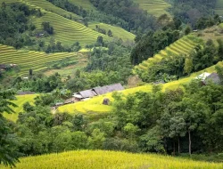 Hanya untuk Mendapatkan Istri Nyi Subang Larang, Prabu Siliwangi Harus Adu Kekuatan dengan Amuk Murugul