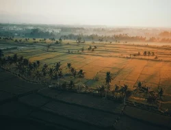Mata Pencaharian Rakyat Kerajaan Galuh dan Kerajaan Sunda, Kebanyakan Jadi Petani